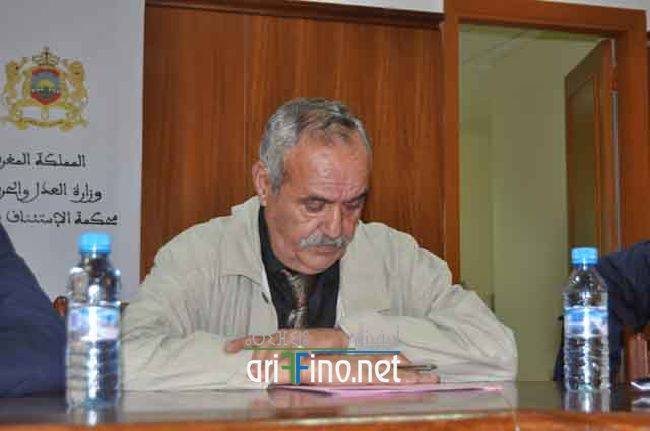 nador417