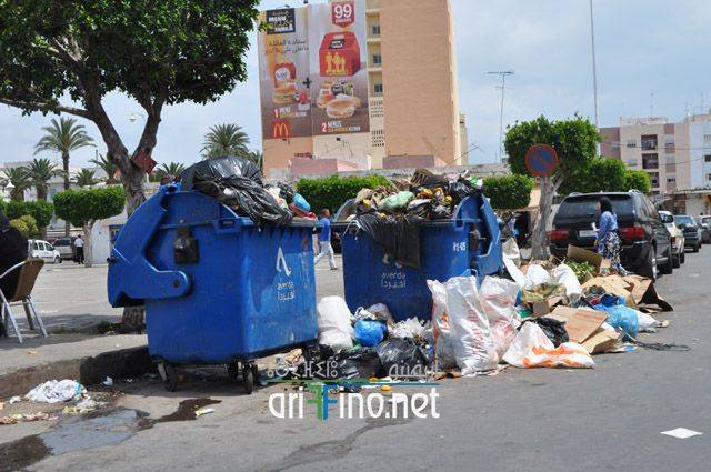 nador761