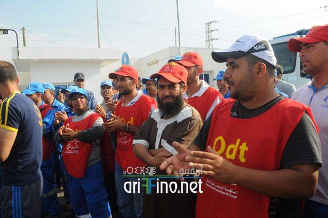 nador774