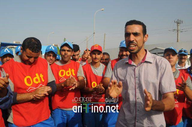 nador779