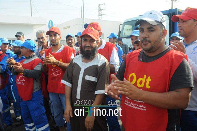 nador781