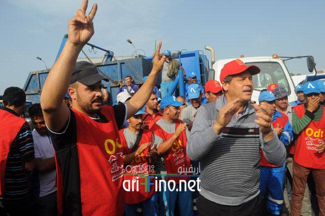 nador790
