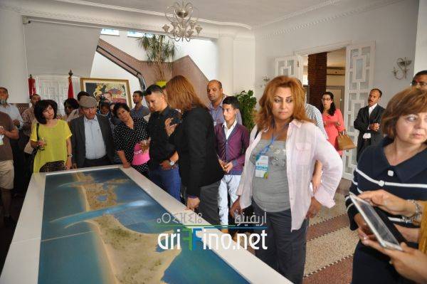 nador817