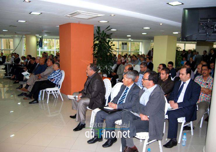 nador890