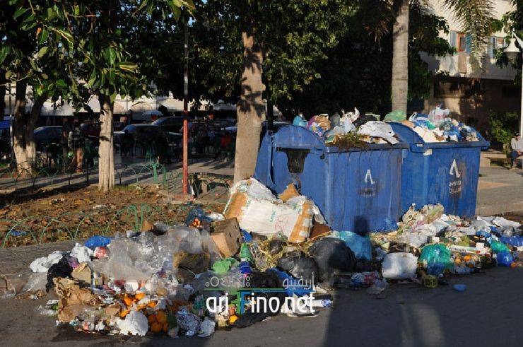 nador898