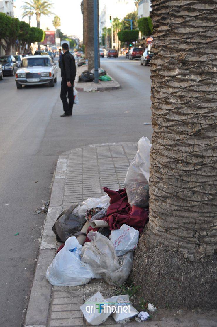 nador903