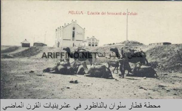 nador005
