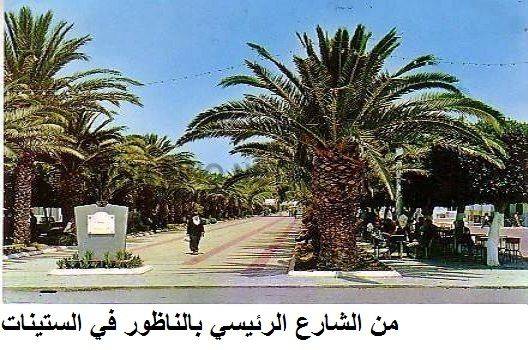 nador012