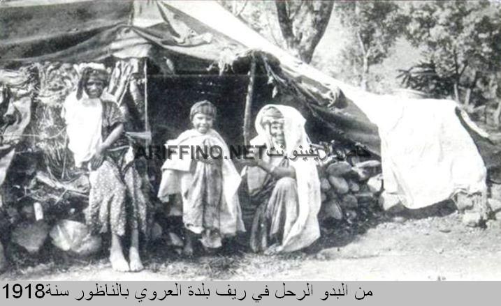 nador026