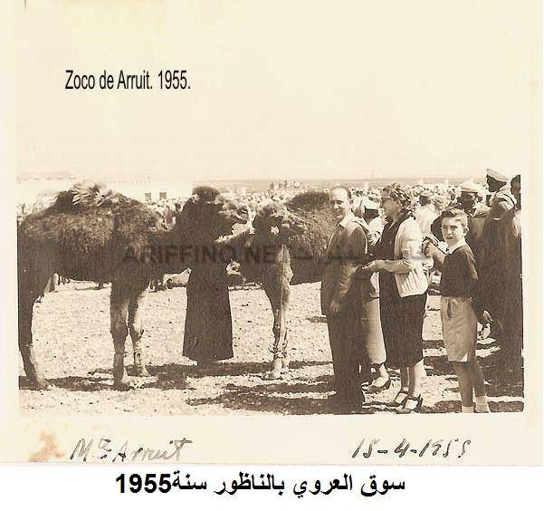 nador034