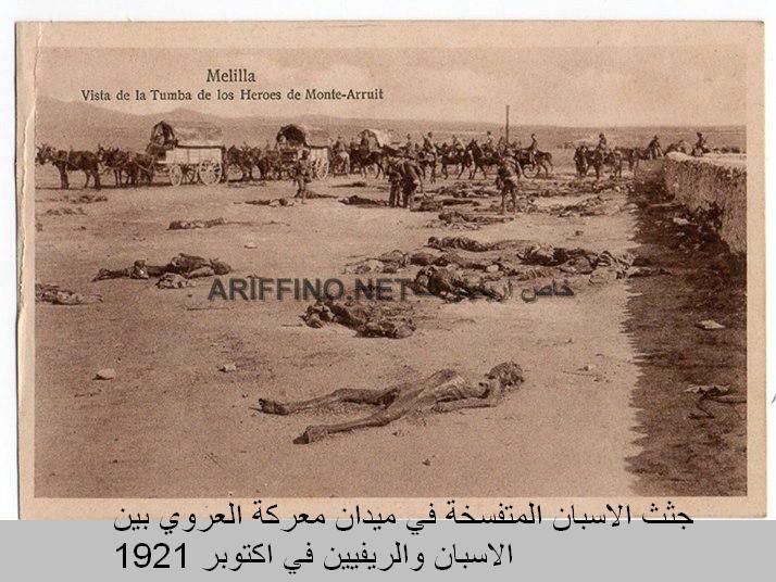 nador034