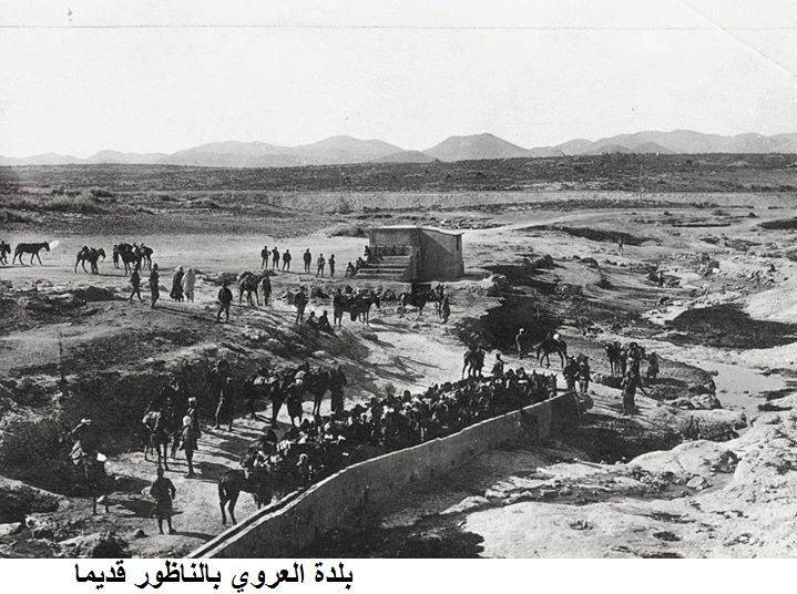 nador037