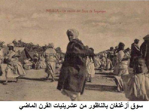 nador039