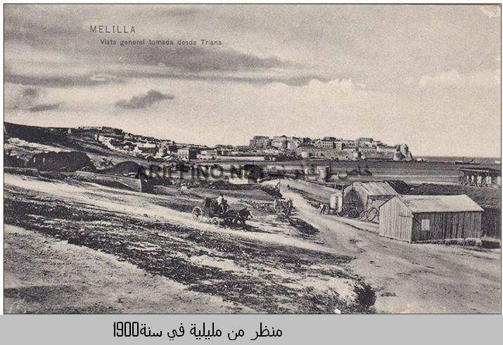 nador040