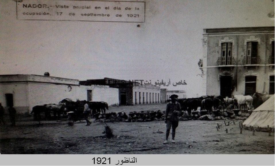 nador073