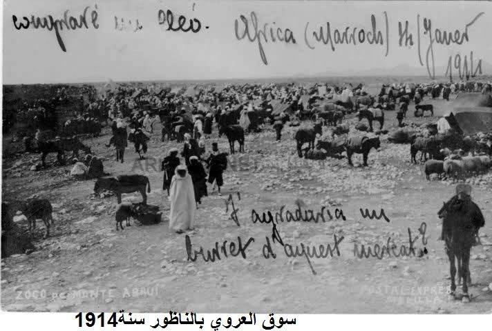 nador075