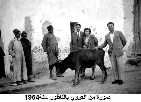 nador082
