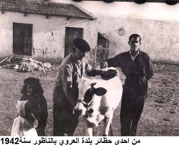 nador089