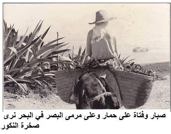 nador098