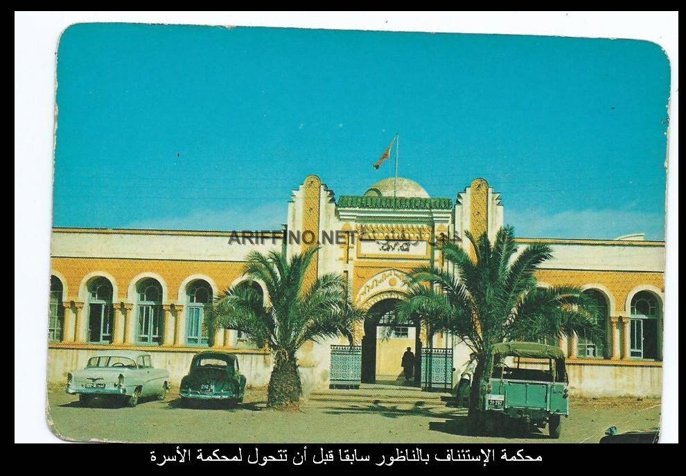 nador1029