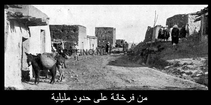 nador1061