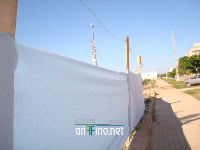 nador1317