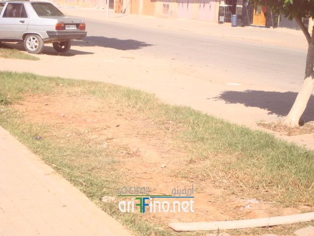 nador1322