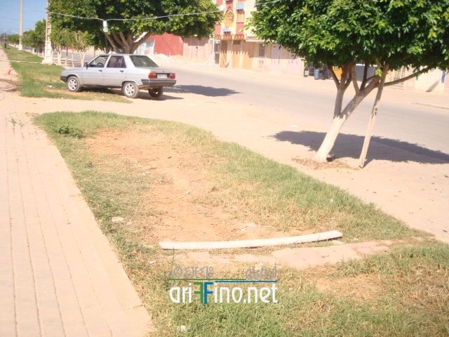 nador1324