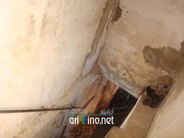 nador1331