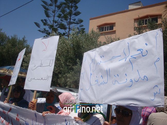 nador1368