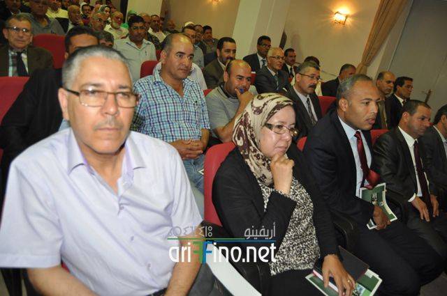 nador137