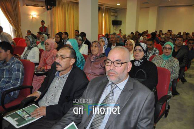 nador147