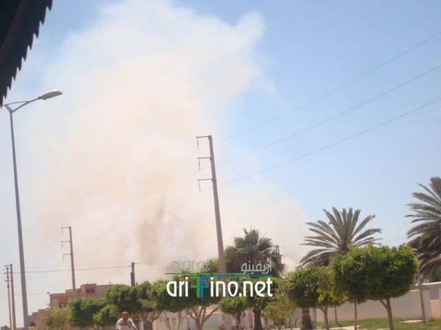 nador1697