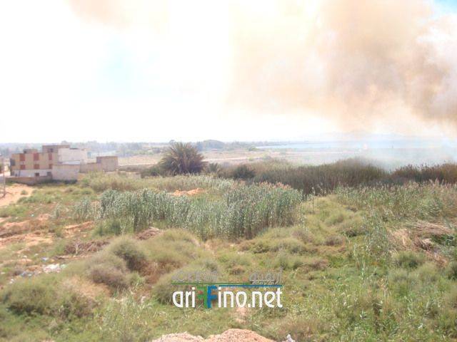 nador1704