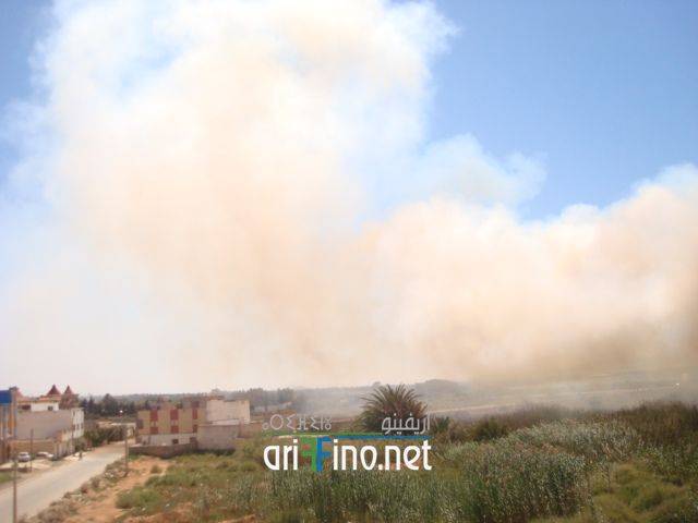 nador1706