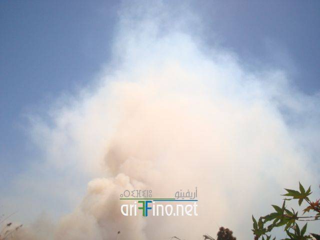 nador1708
