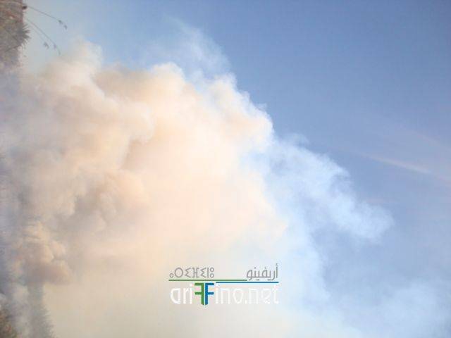 nador1710