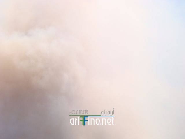 nador1716