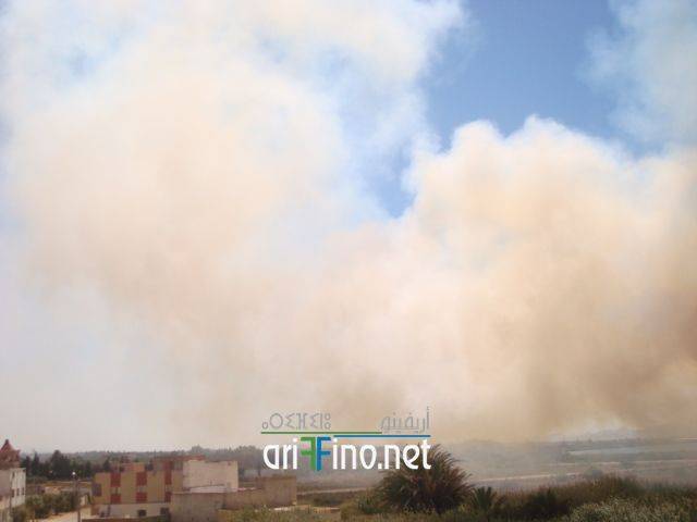nador1721
