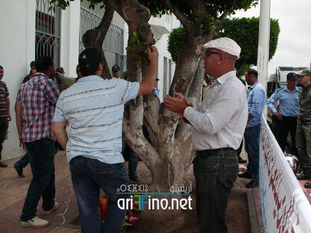 nador2325