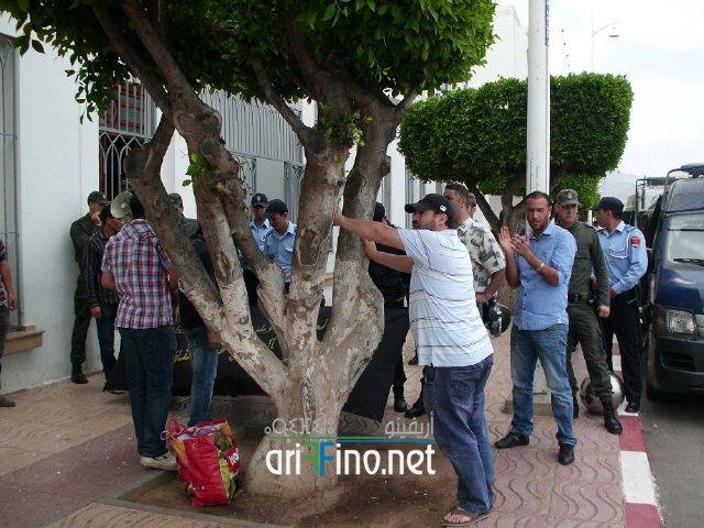 nador2329