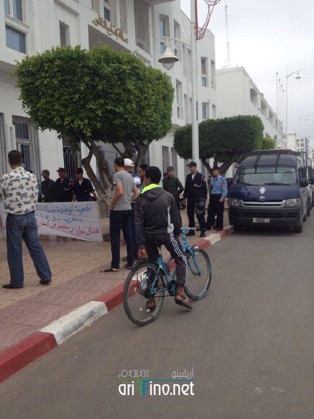nador239
