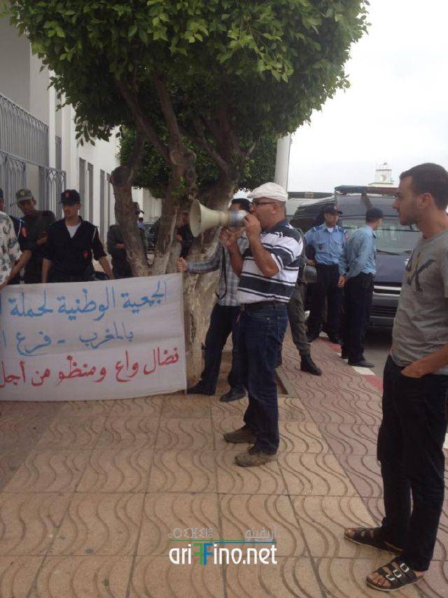 nador241