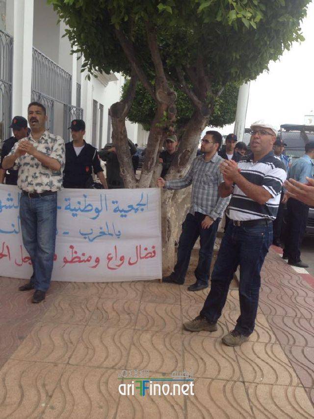 nador247