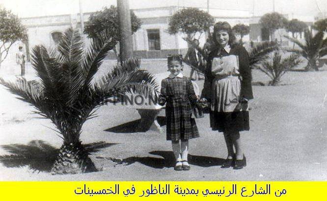 nador266