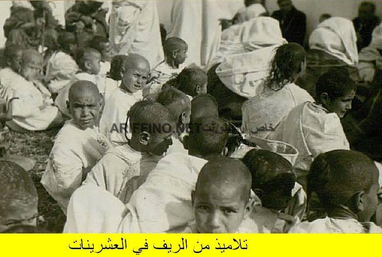 nador286