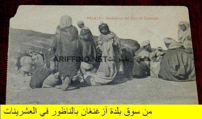 nador288