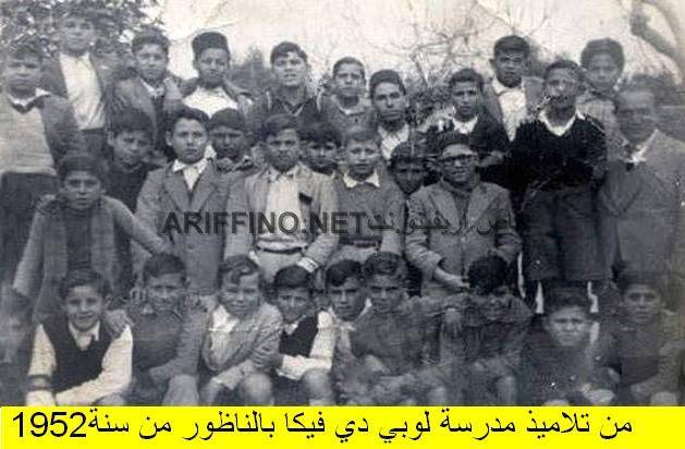 nador291