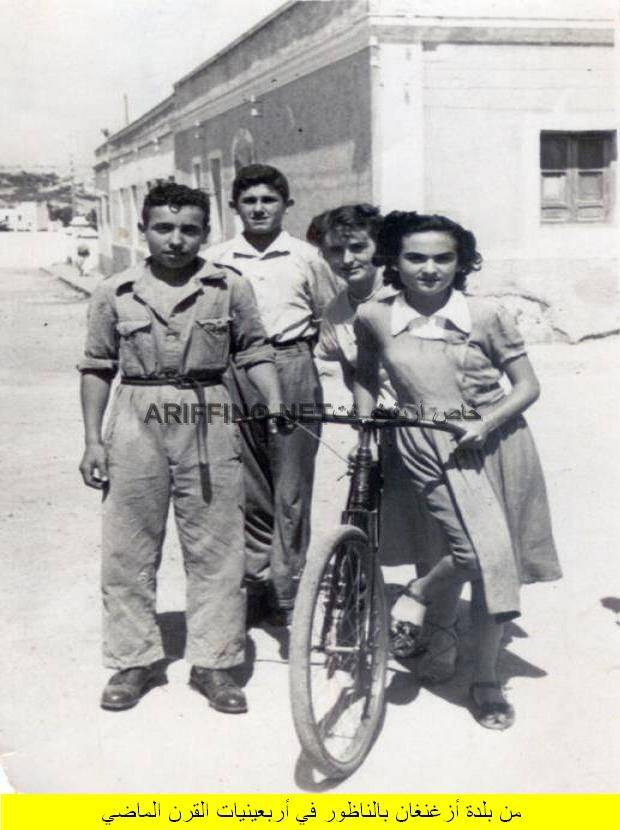 nador295