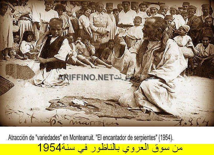 nador297